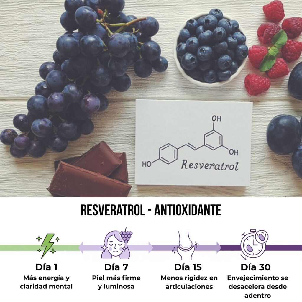 Resveratrol - Potente Antioxidante (100 cápsulas)